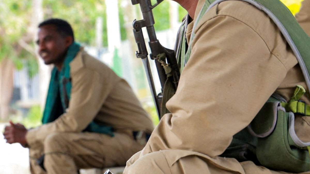 Ethiopian rebel coalition risks fracture over territorial, power disputes