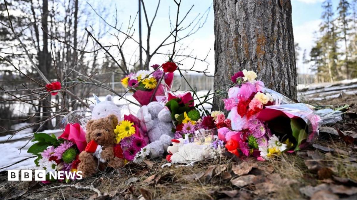 British Columbia sues OpenAI over school shooting suspect's ChatGPT use