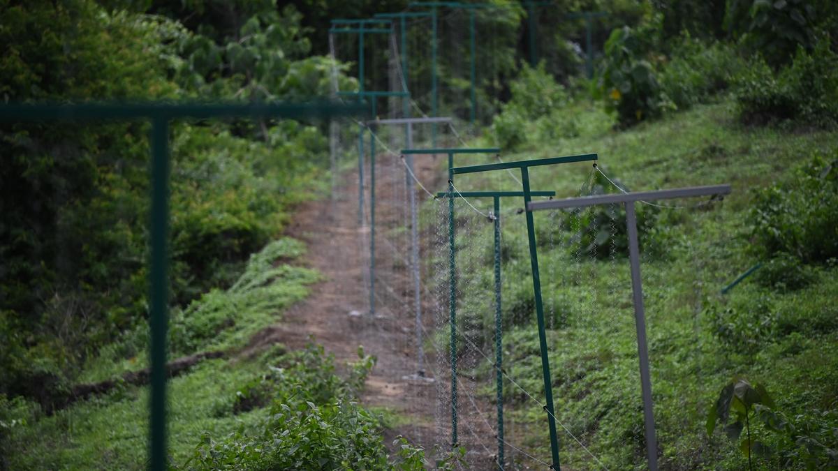 Kerala village deploys solar fences to combat wildlife raids