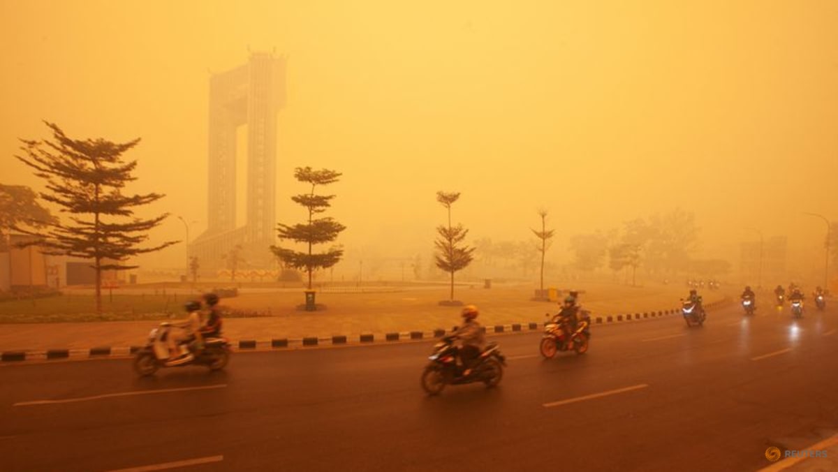 Palm oil firms blame El Niño, dispute fire responsibility