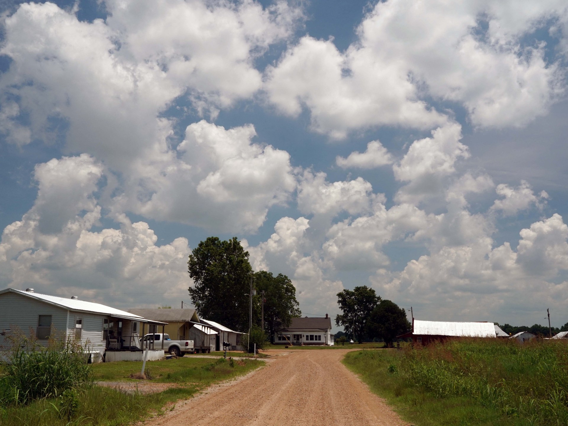 Farm economics shape US midterm voting as agricultural costs surge
