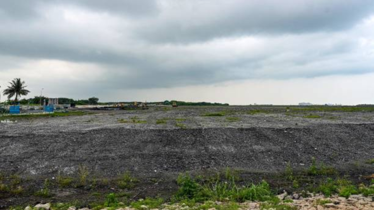 Singapore transforms waste ash into thriving 350-hectare nature island