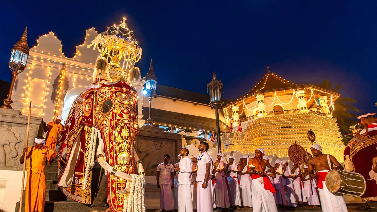 Indian diplomats to attend Kandy Esala Perahera festival