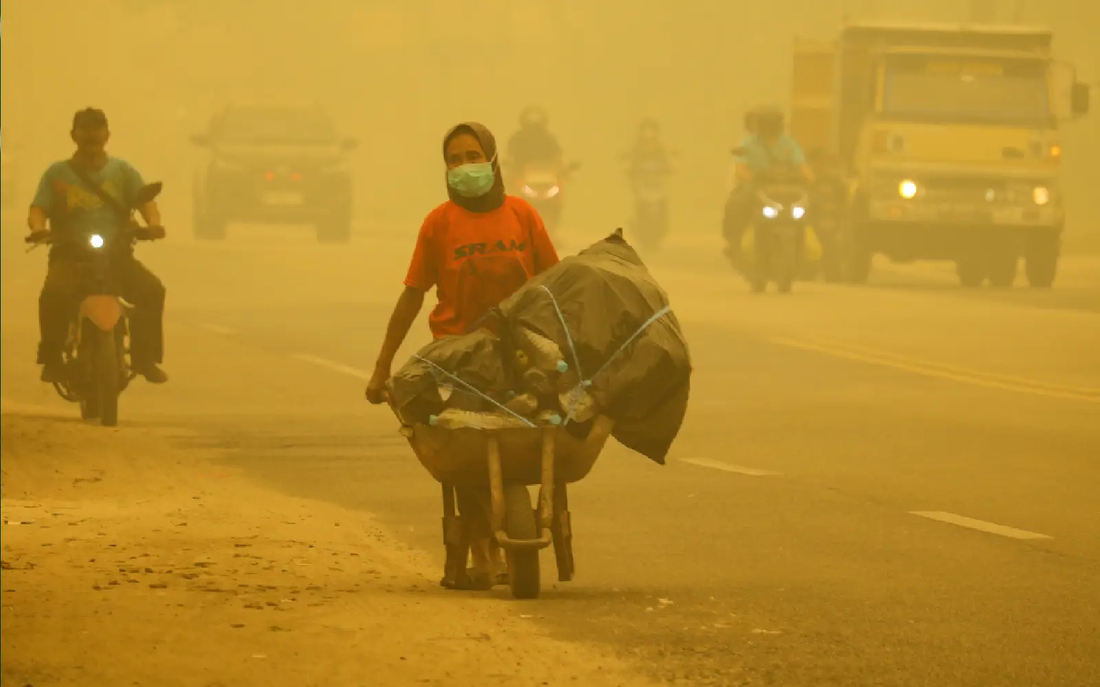 Pencemaran kebakaran hutan tewaskan 3,560 orang di Indonesia pada September