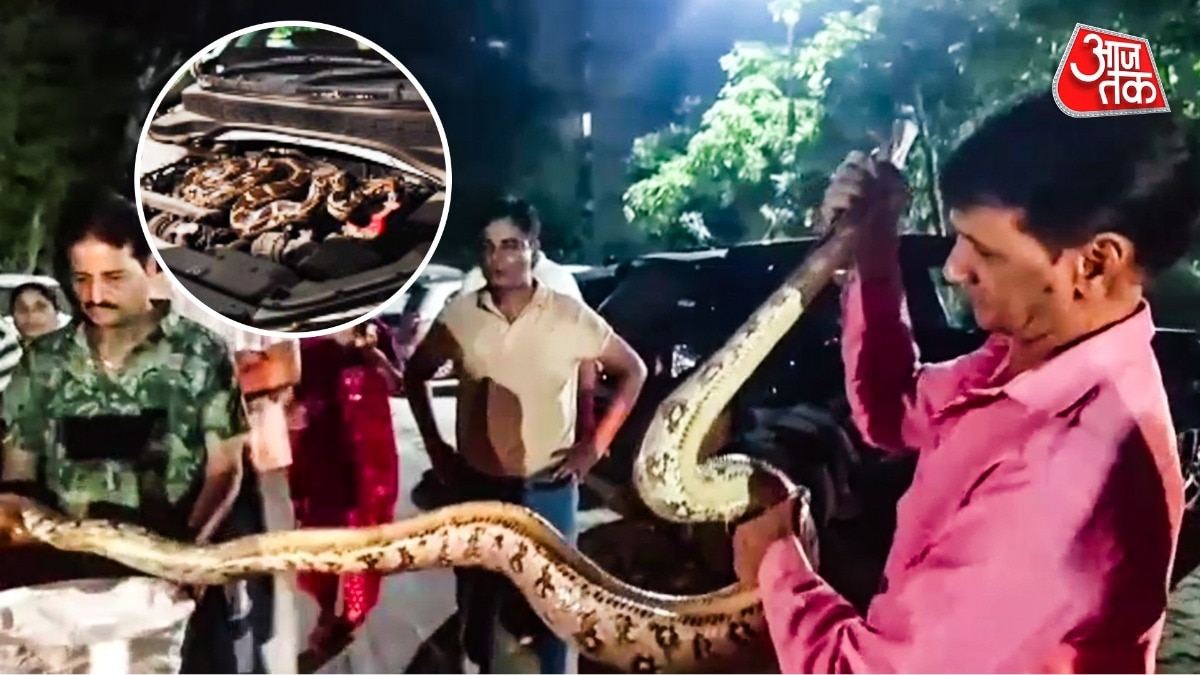 10-foot python found lodged in car engine in Udaipur