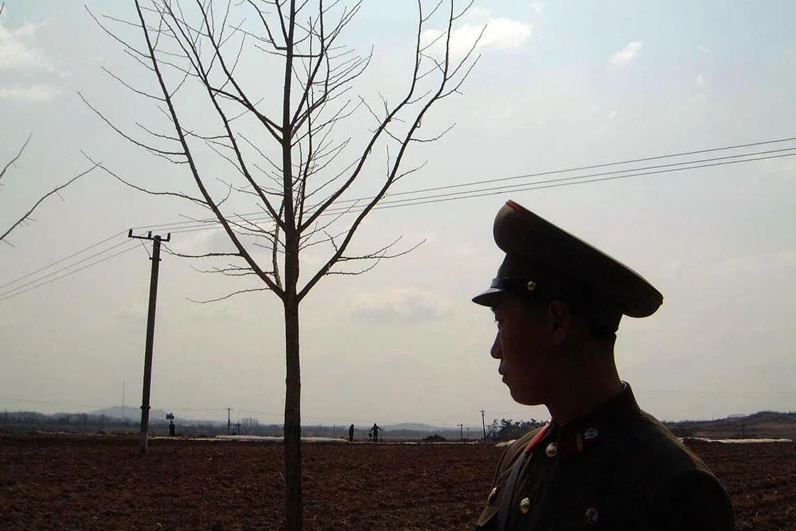 North Korean IT worker secured remote employment in New Zealand using false identity