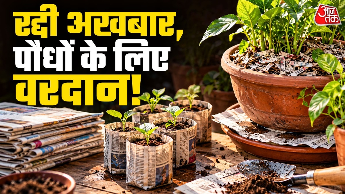 Recycled Newspapers Offer Simple Solutions for Home Gardeners