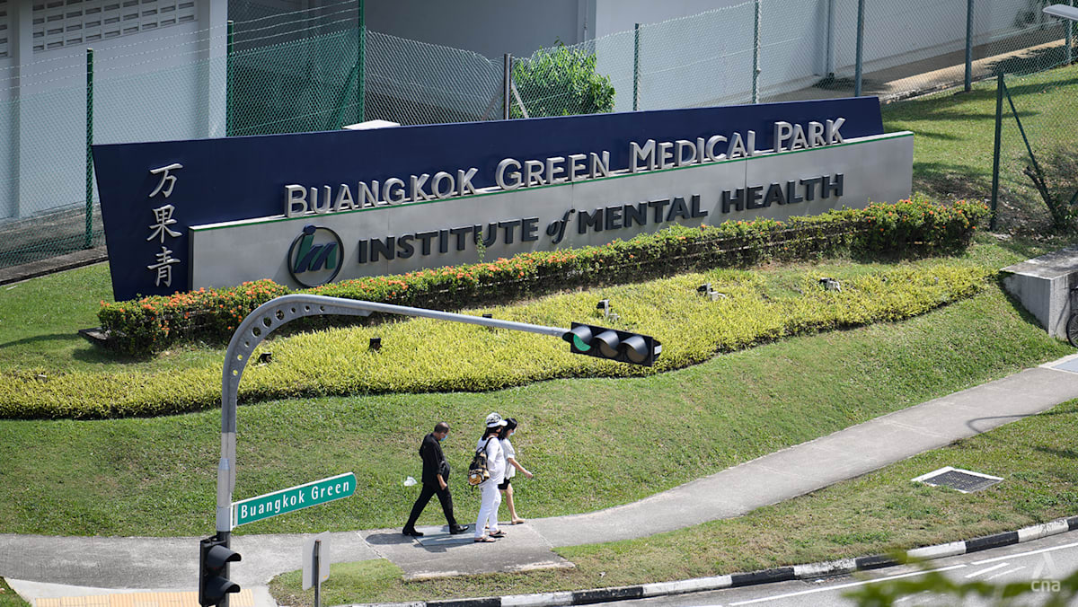 Singapore to expand mental health capacity with IMH redevelopment by 2040