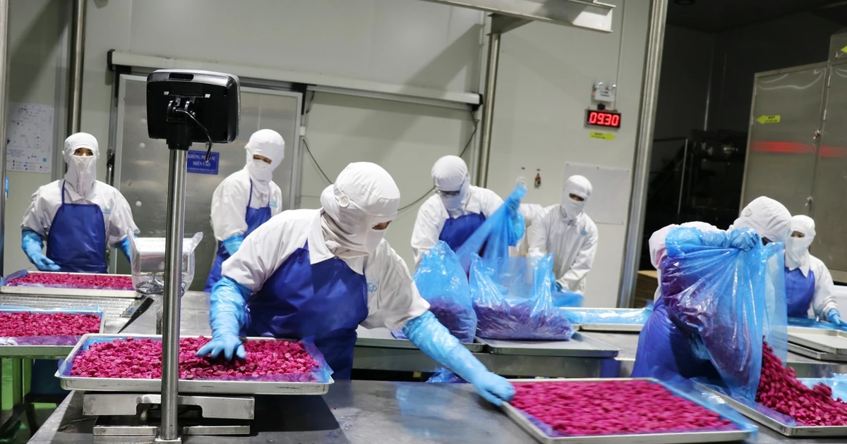 Vietnam's farm sector turns to technology to boost export competitiveness