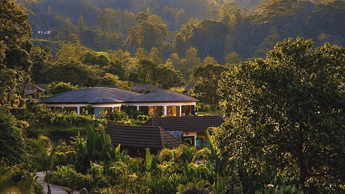 Karnataka's Coffee Belt Transforms Plantations Into Immersive Tourism Destinations