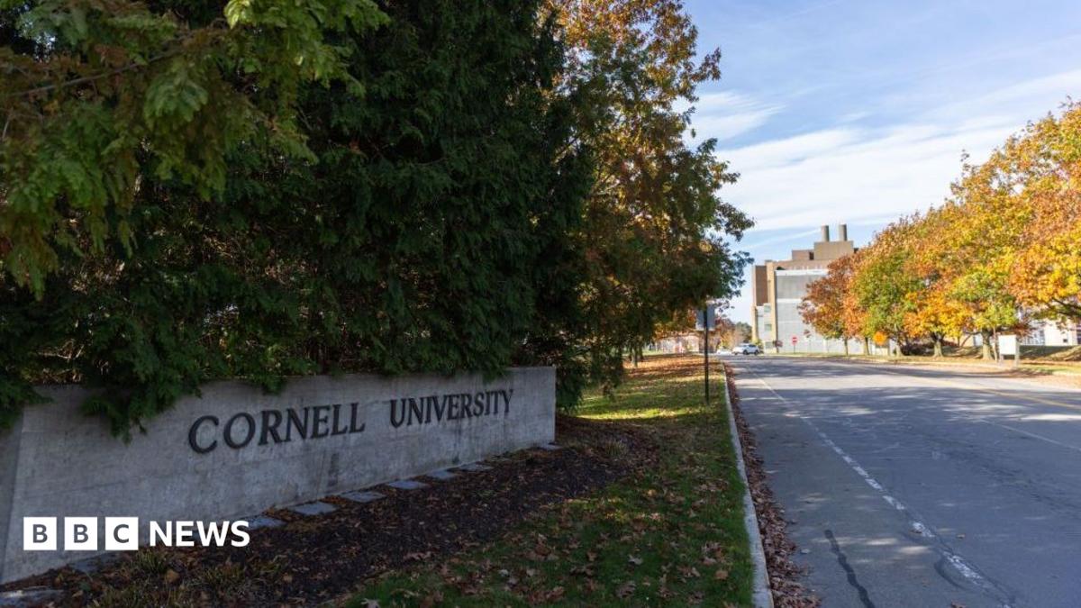 US prosecutors reopen sexual assault investigation at Cornell University