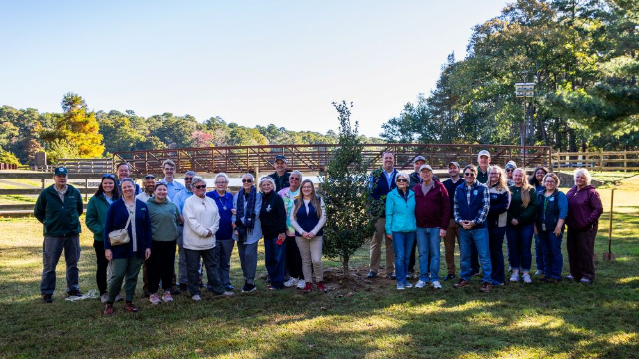 Delaware Parks Mark 75 Years With 75,000th Tree Planted