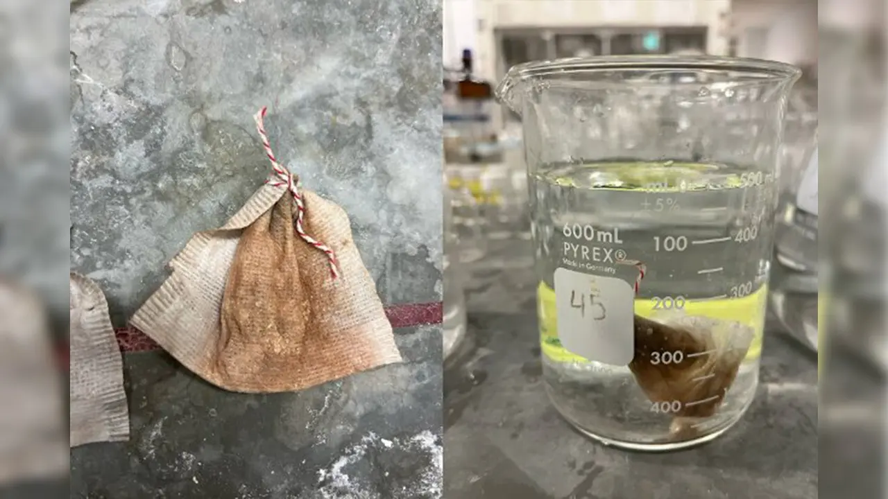 Minnesota student develops low-cost arsenic filter using teabag technology