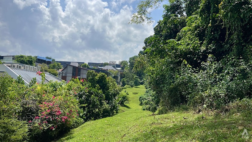 Nature groups back revised Maju Forest housing plans with caveats