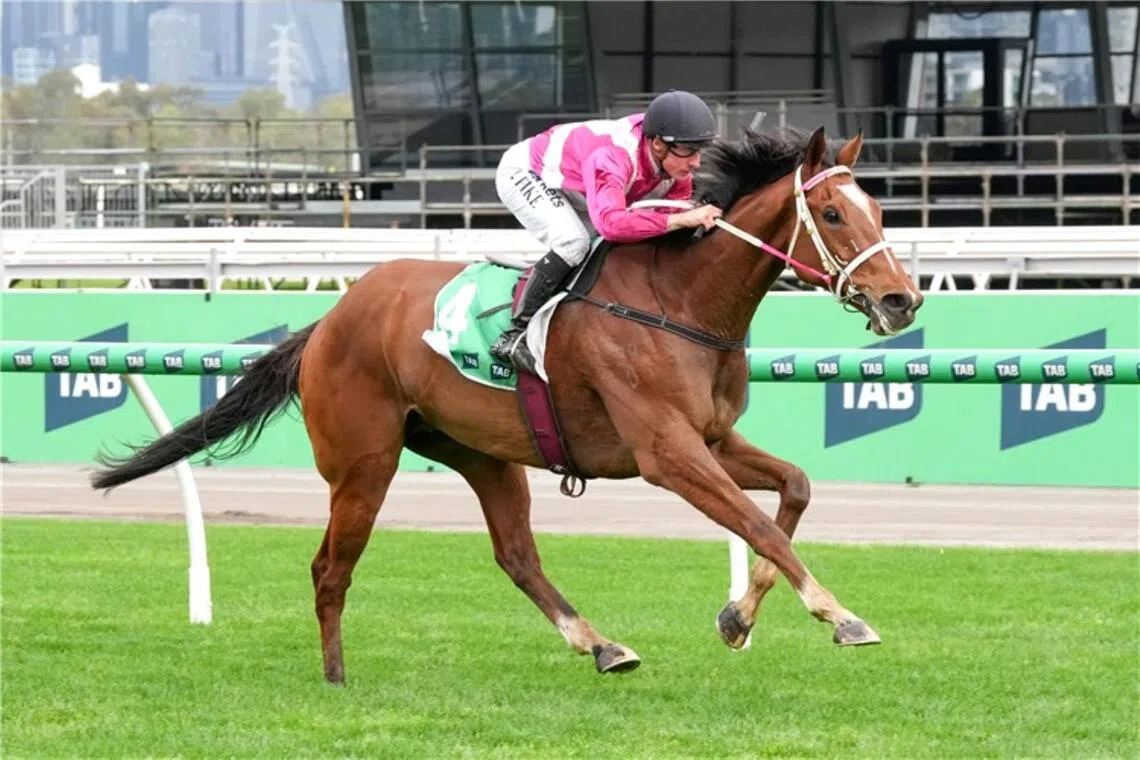 Cosmic Crusader delivers Leek maiden Group One victory in Turnbull Stakes