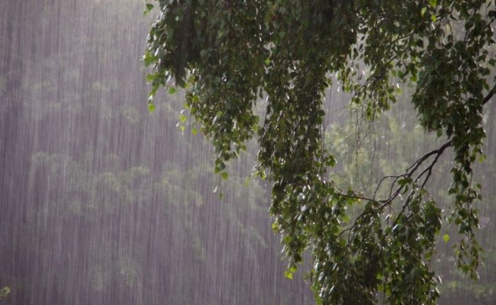 Heavy rainfall forecast for central and eastern Sri Lanka