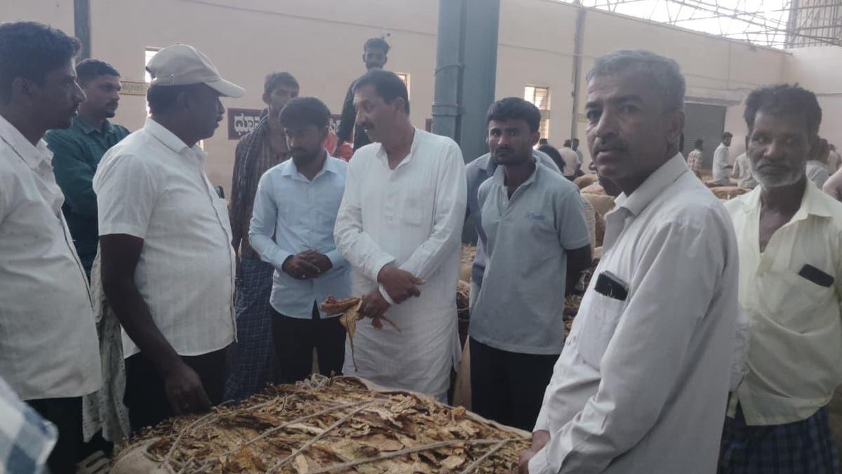 Congress Leader Demands Minimum ₹300/kg Floor Price for Tobacco