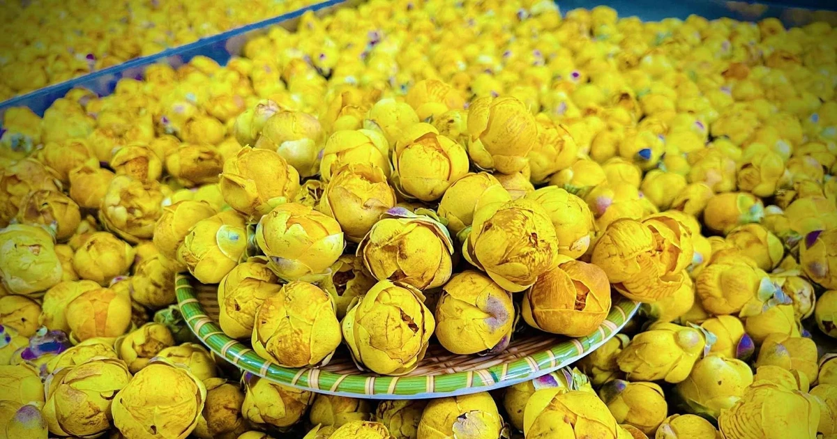 Vietnam taps science and technology to boost medicinal plant sector