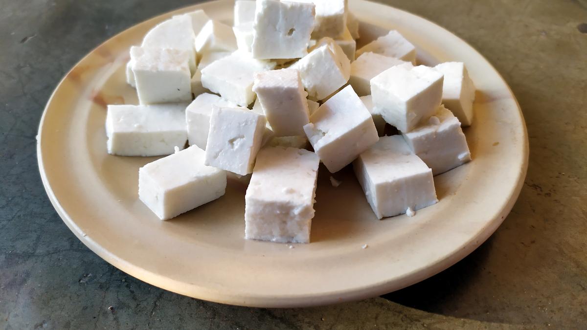 Delhi High Court seeks FSSAI response on synthetic paneer petition