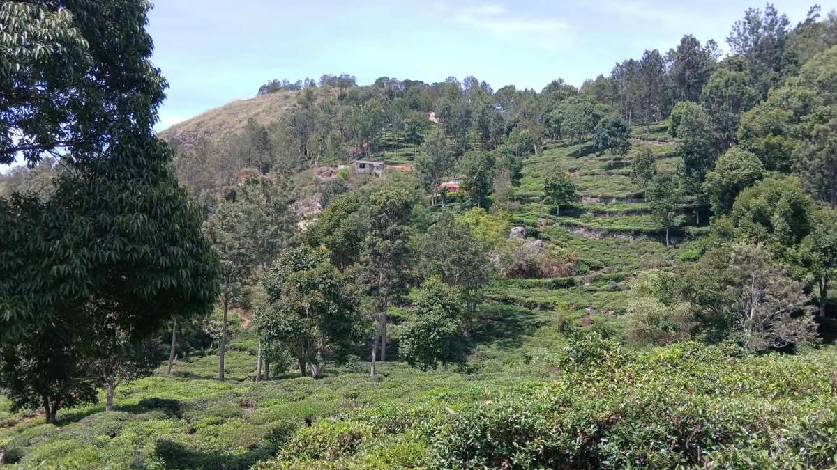 नीलगिरि में दलित बस्ती की सड़क परियोजना से सांप्रदायिक तनाव