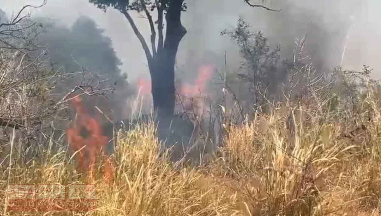 Major wildfire destroys over 100 acres at Habarana Hurulu Eco Park