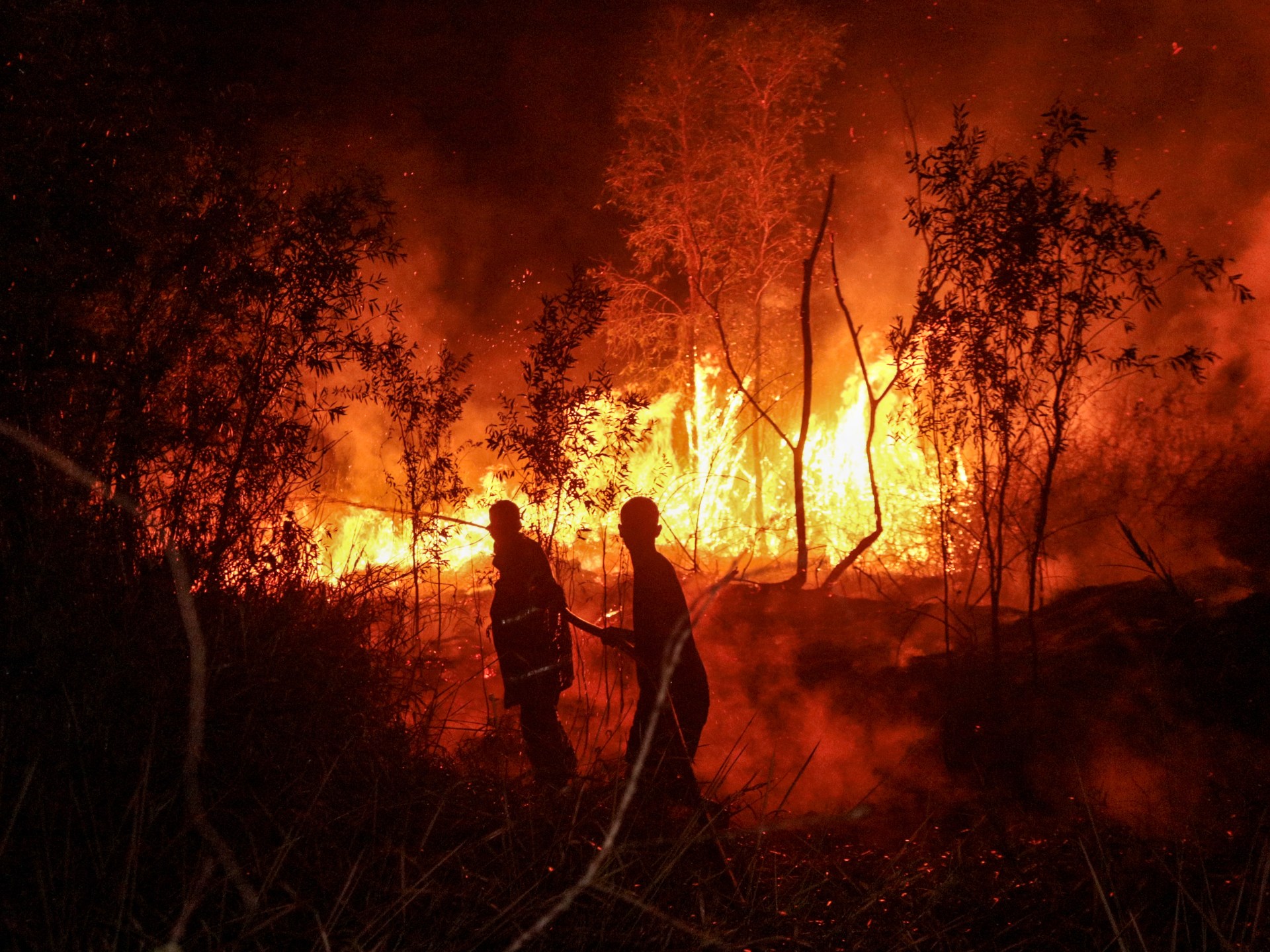 Indonesia forest fires claim four lives as nation seeks international aid