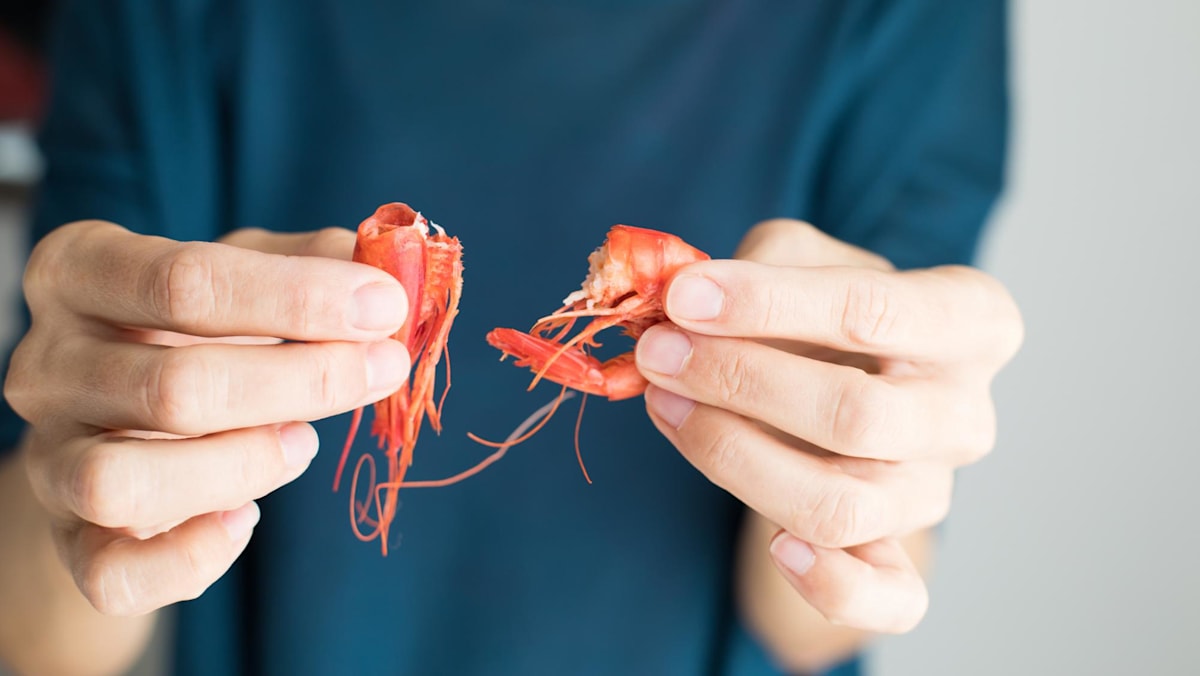 Singapore trial explores tolerance-building therapy for prawn allergies