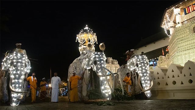 Government to issue gazette on elephant provision for Peraheras