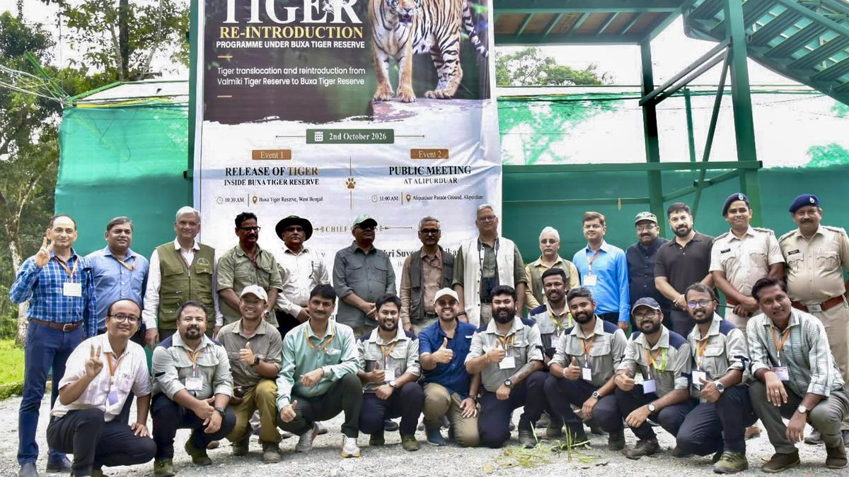 Tiger reintroduction in Buxa signals major shift in conservation strategy