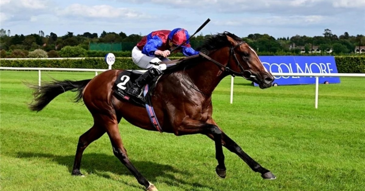Darkness Falls triumphs over Desert Castle in Dewhurst showdown