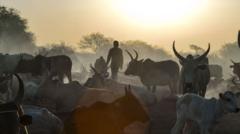 Cattle raids in South Sudan leave at least 72 dead ahead of elections