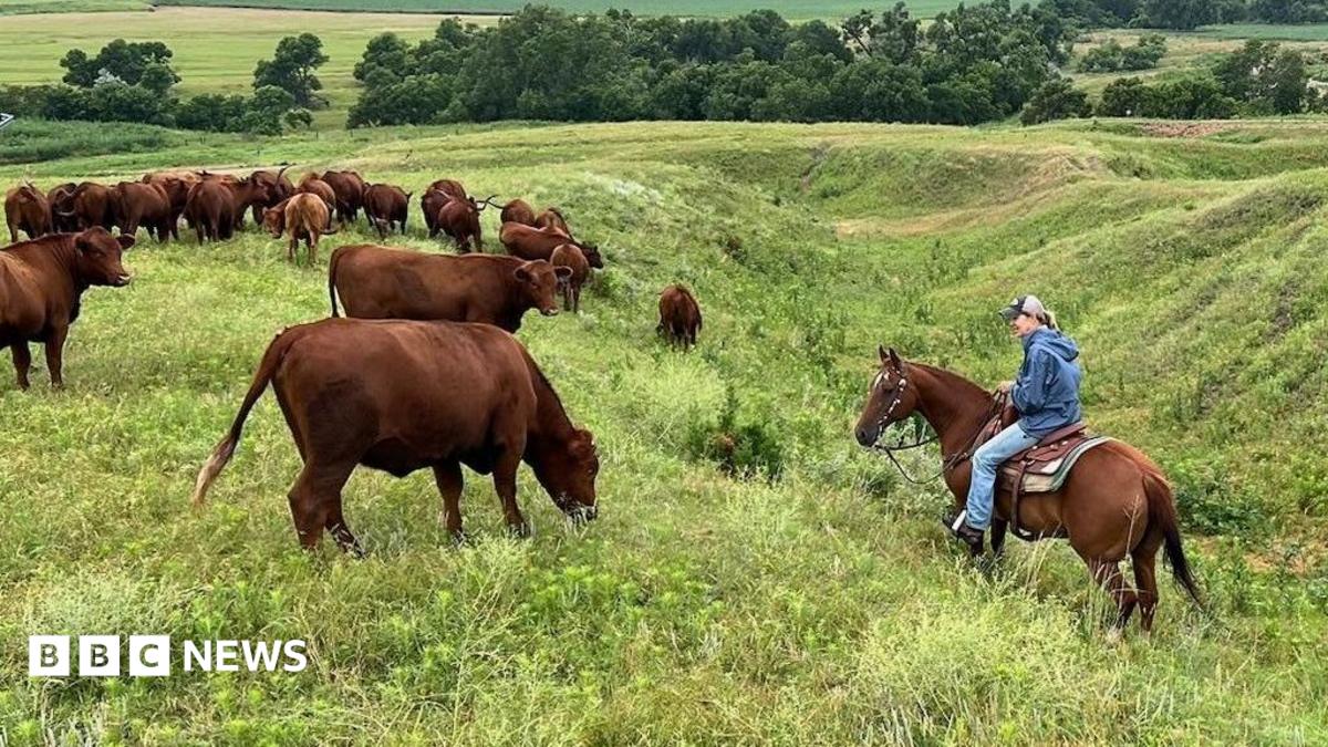 U.S. farmers face economic pressure amid political crossroads