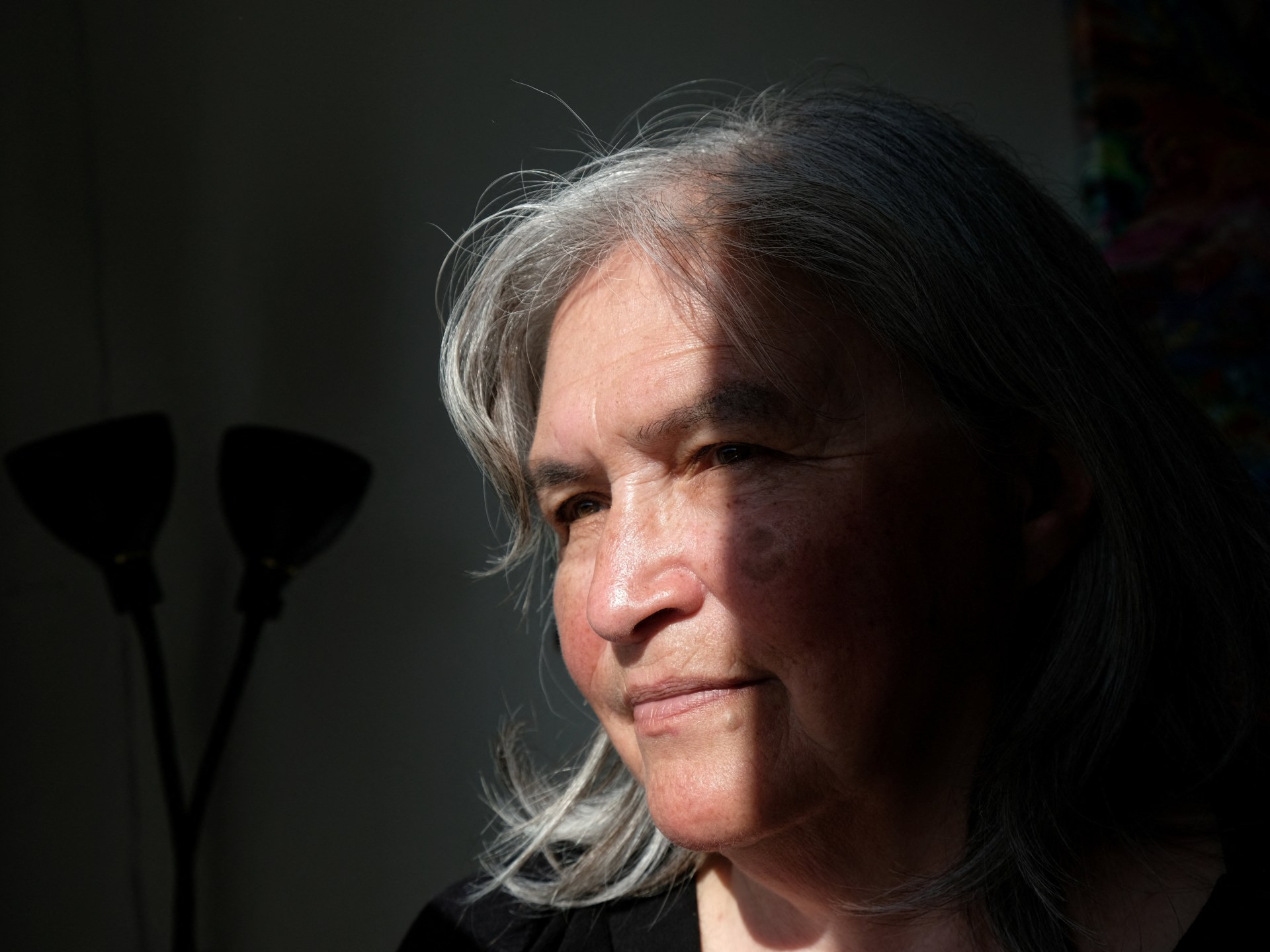 Greenland forced sterilization program violated women's rights, experts conclude