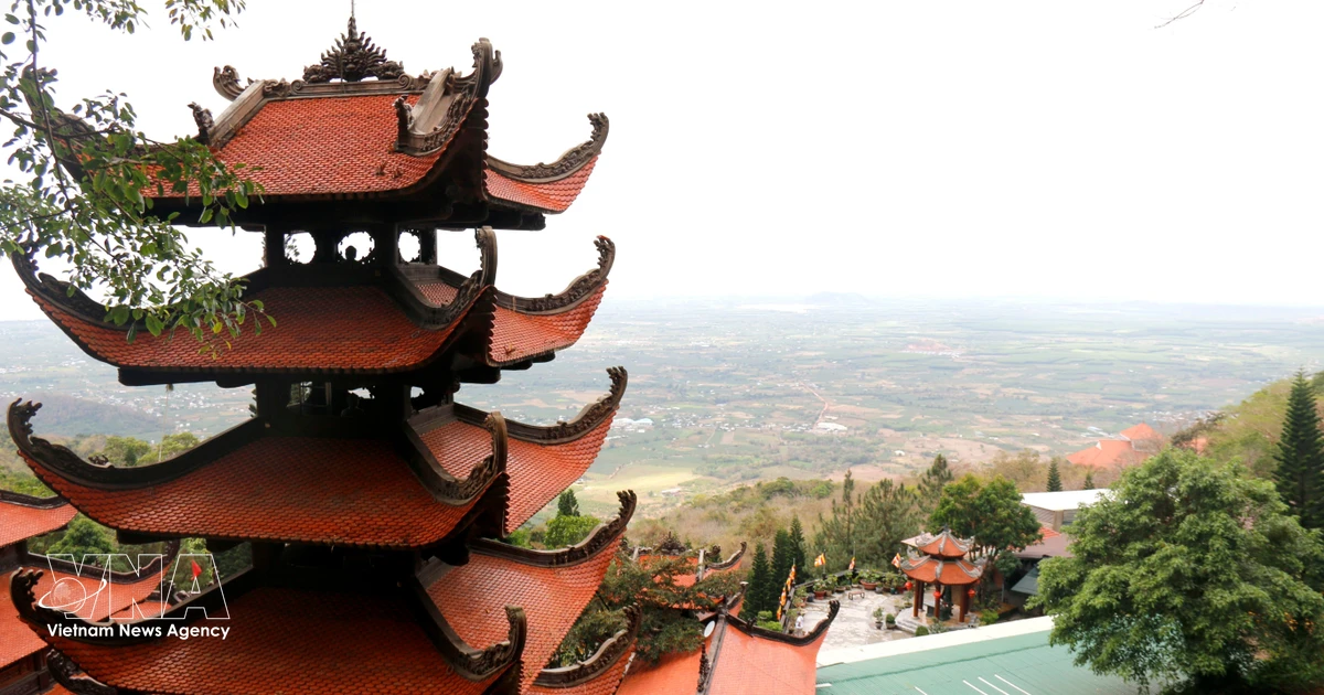 Lam Dong Launches Major Conservation Initiative with New Nature Reserve