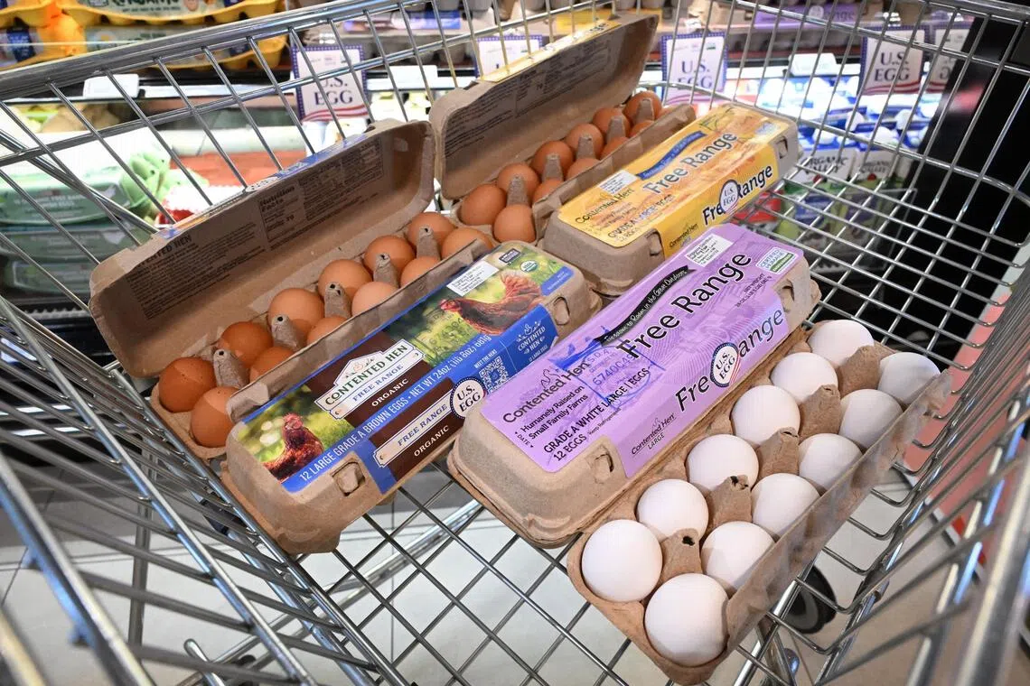 US eggs return to Singapore market at premium prices