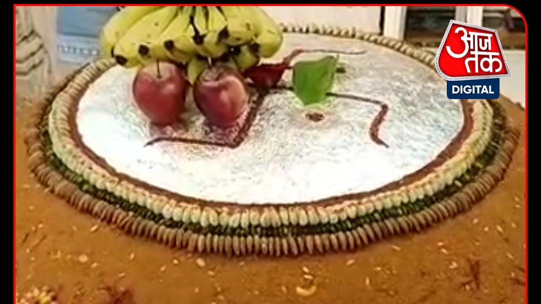 Nagpur temple offers colossal 1,101-kg sweet to Lord Ganesha