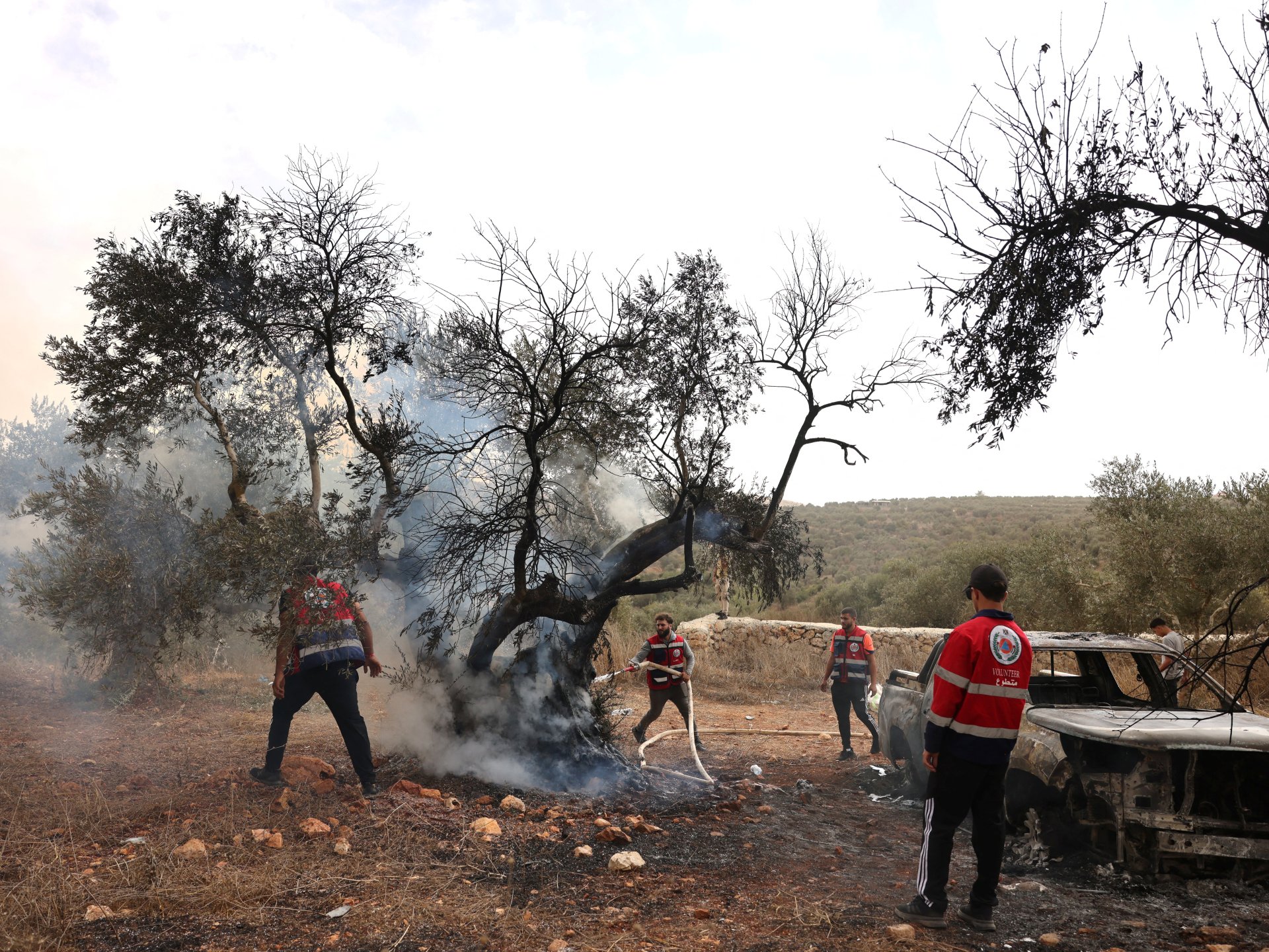 Settlers attack Palestinians during West Bank olive harvest; journalist hurt