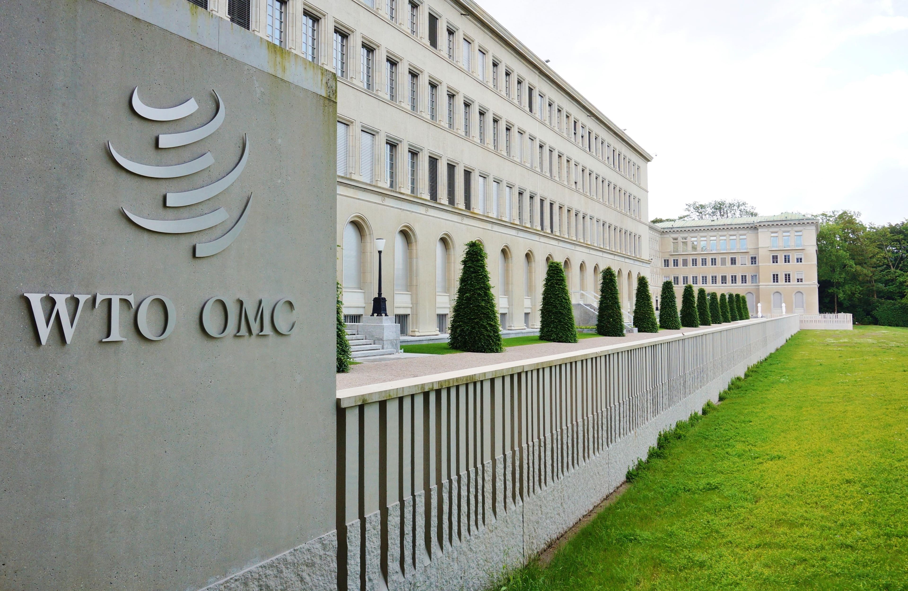 India urged to lead WTO overhaul for Global South interests