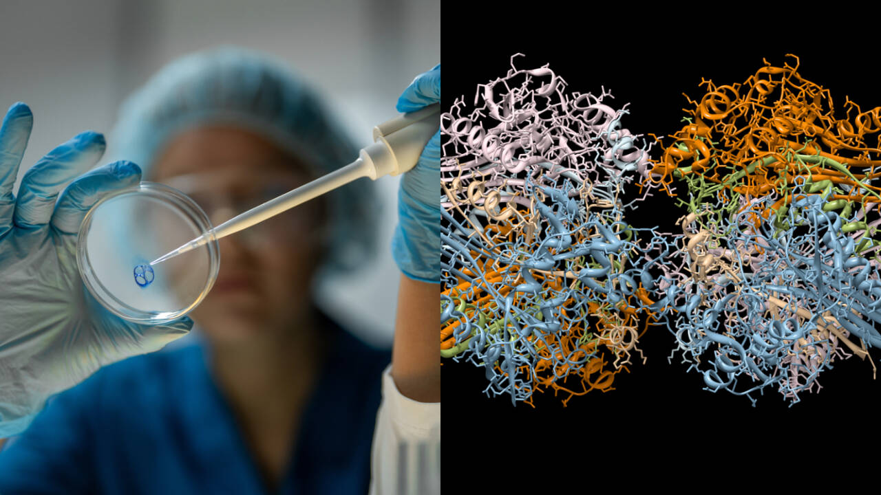 Ancient proteins resurrected to combat antibiotic-resistant bacteria