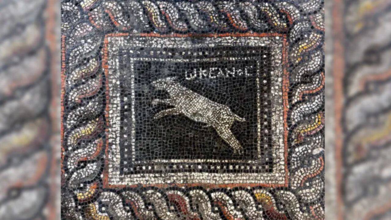 Ancient Roman mosaic reveals pet-loving household from 1,800 years ago
