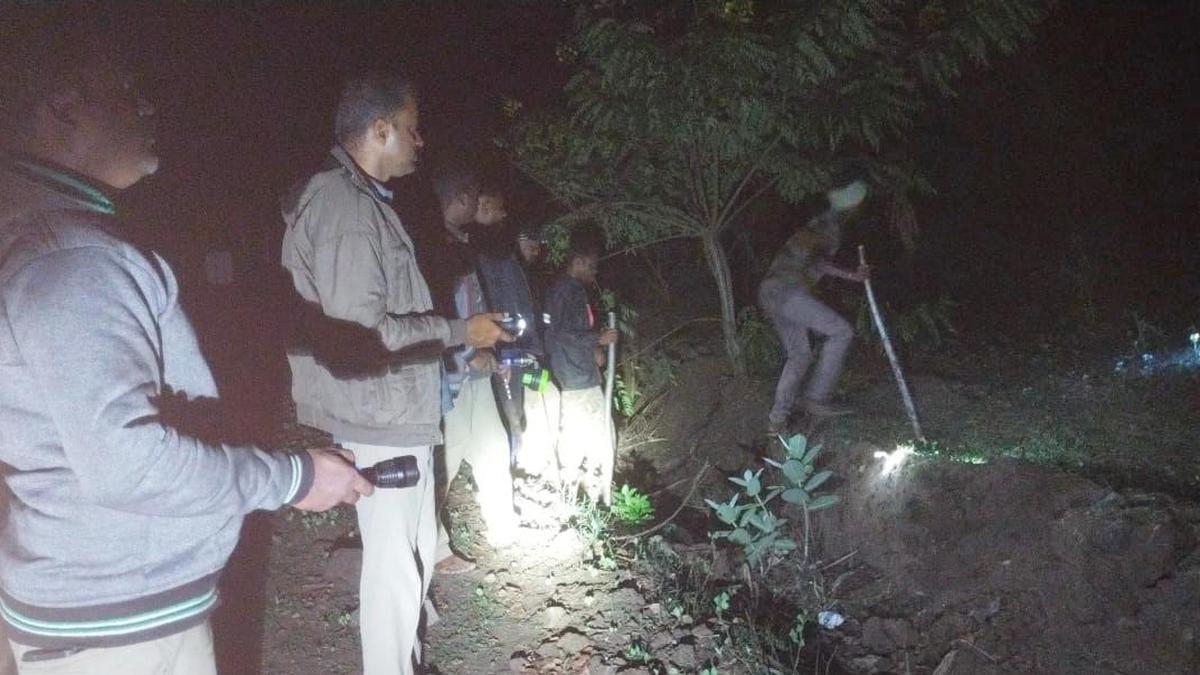 Forest officials hunt animal in worker's death at Tamil Nadu reserve