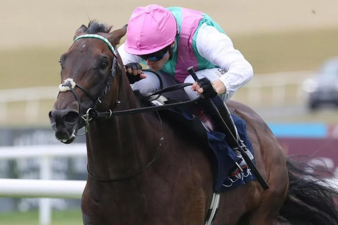 Monogram eyes comeback opportunity in high-stakes competition
