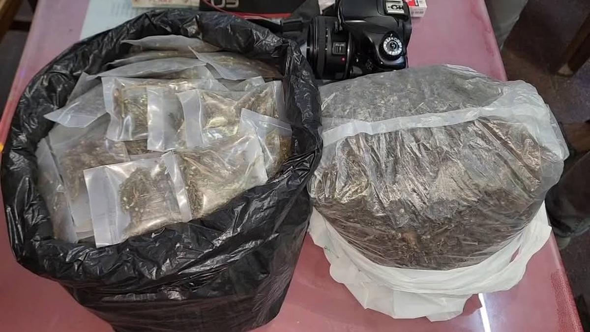 Railway Police seize 32 kg of cannabis at Jolarpet station