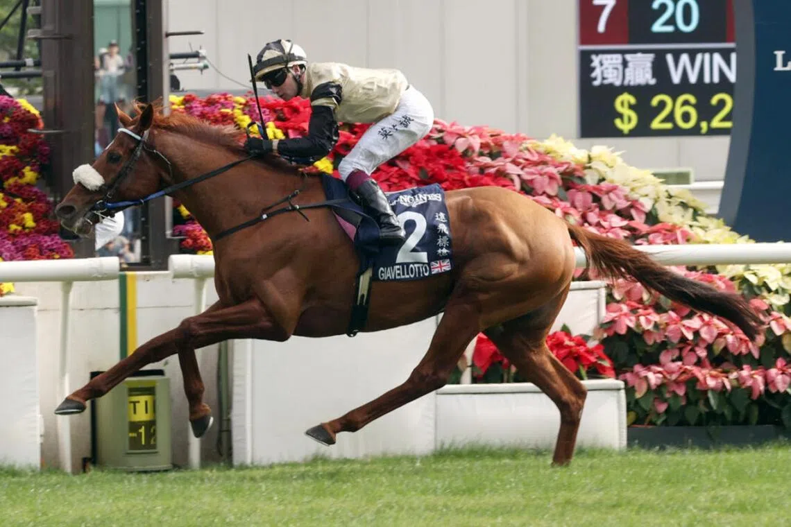 Giavellotto's European travels pay off with German Group 1 triumph