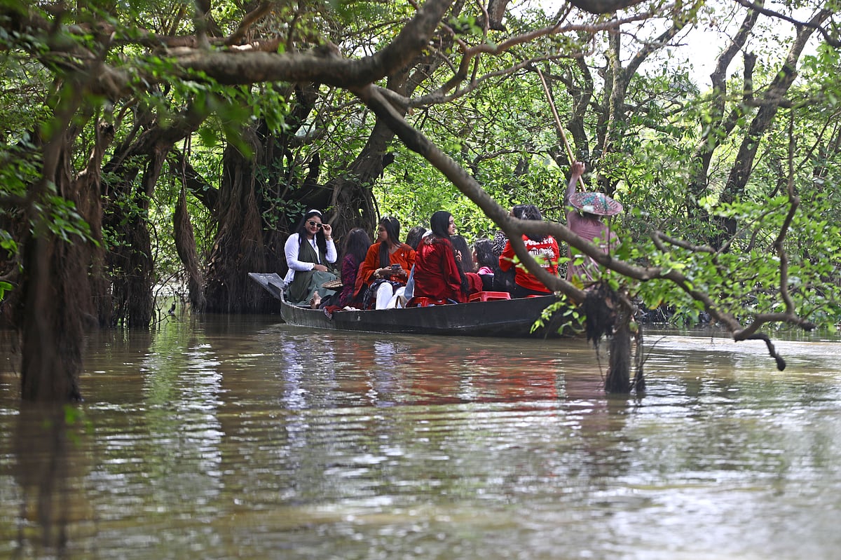 Ratargul Swamp Forest: Bangladesh's Unique Aquatic Ecosystem