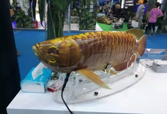 China develops robotic fish for autonomous underwater exploration