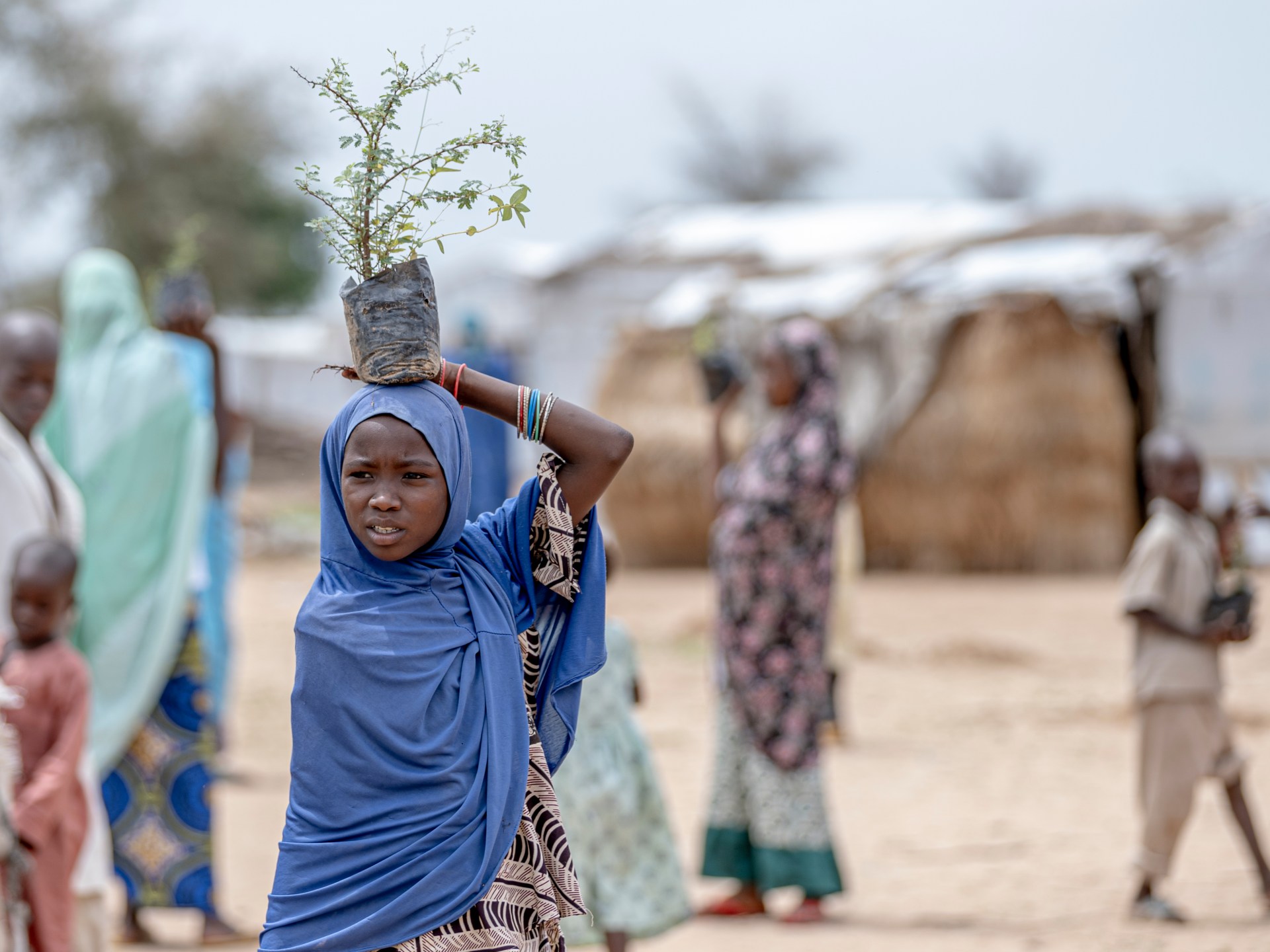 Cameroon raid kills 15, sparks mass displacement in Far North