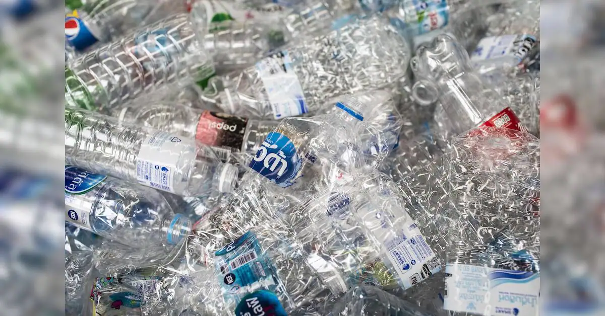 Delhi eyes global waste management models to resolve city's disposal crisis
