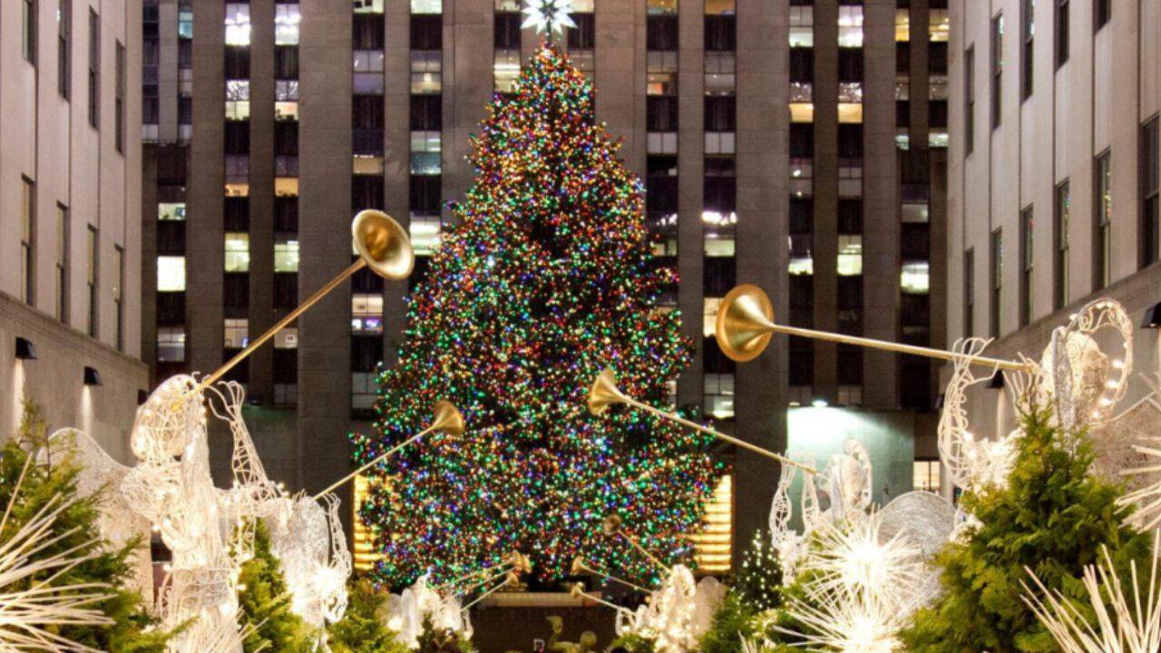 Iconic New York Christmas tree finds second life building American homes