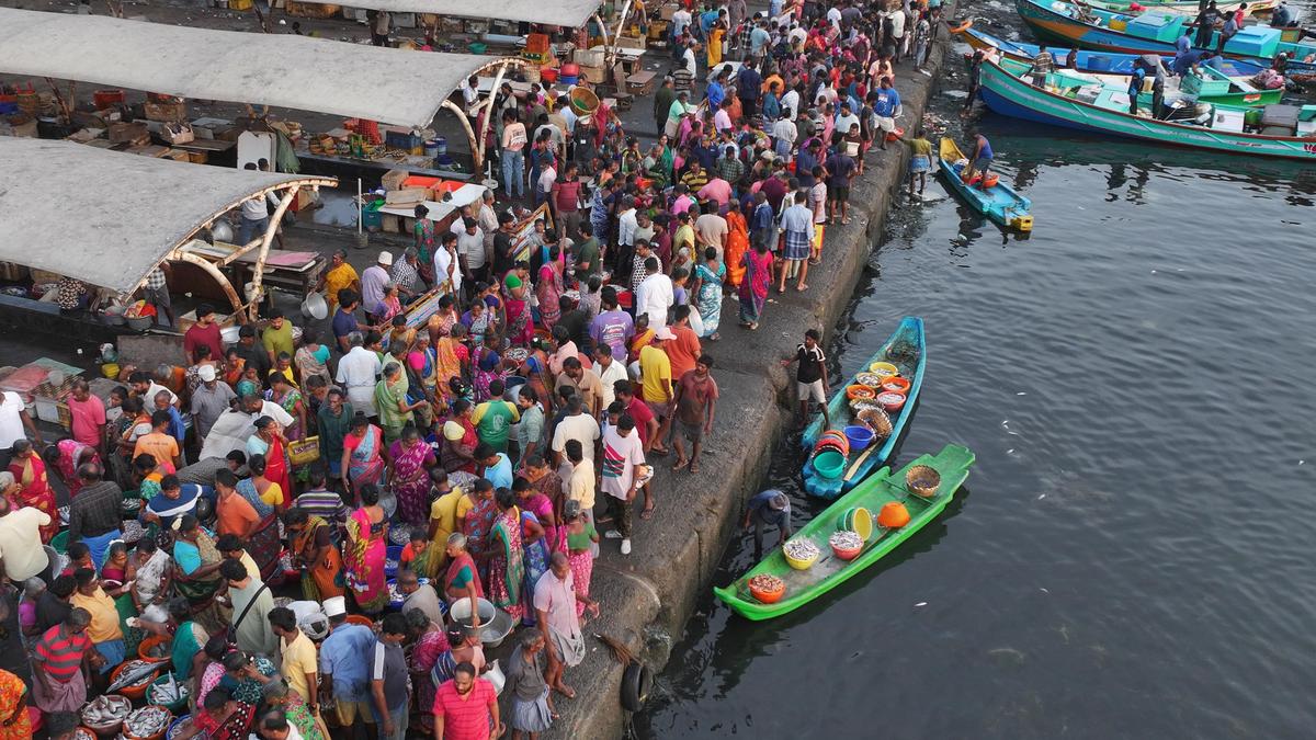 Marine Catch Overtakes River Fish in India's Seafood Production